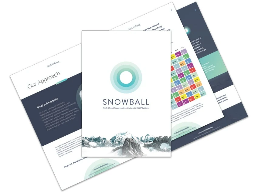 snow wp layout