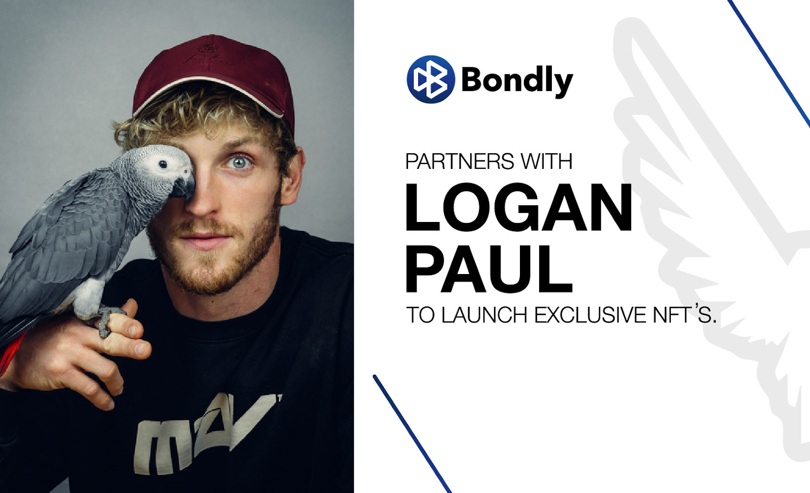 bondly-logan-paul